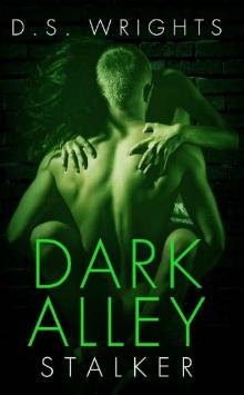 Dark Alley: Stalker