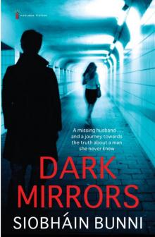 Dark Mirrors