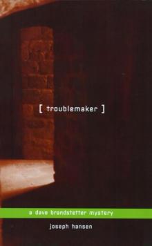 Dave Brandstetter 3 - Troublemaker Read online