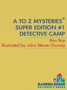 Detective Camp Read online