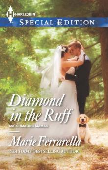 Diamond in the Ruff (Matchmaking Mamas Book 13) Read online