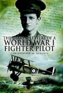 Diary And Letters Of A World War I Fighter Pilot, The Read online