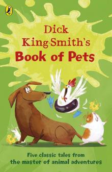 Dick King-Smith's Book of Pets Read online