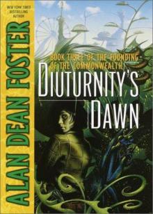 Diuturnity's Dawn Read online