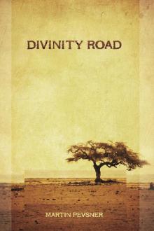 Divinity Road Read online