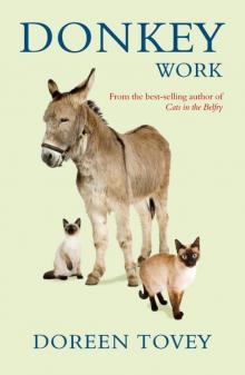 Donkey Work Read online