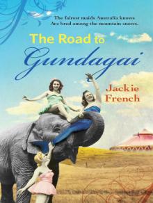Down the Road to Gundagai Read online