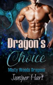 Dragon's Choice Read online