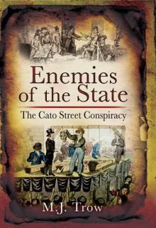 Enemies of the State Read online
