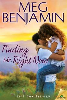 Finding Mr. Right Now Read online