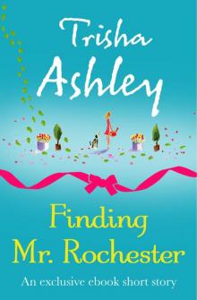 Finding Mr Rochester Read online