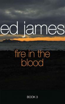 Fire in the Blood (Scott Cullen Mysteries)