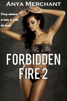 Forbidden Fire 2 (Taboo Erotica) (Burning Harem) Read online