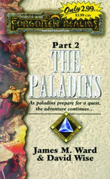 Forgotten Realms - [Double Diamond Triangle Saga 02] - The Paladins