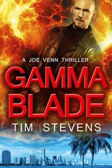 Gamma Blade Read online