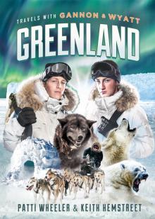 Greenland Read online