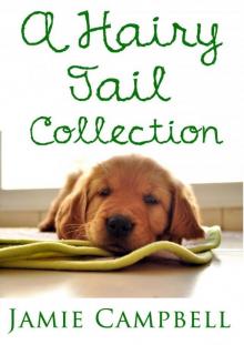 Hairy Tail Collection Read online