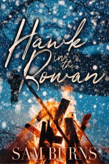Hawk in the Rowan (The Rowan Harbor Cycle Book 4) Read online