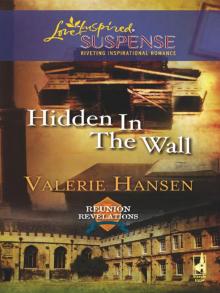 Hidden in the Wall Read online