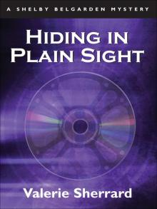 Hiding in Plain Sight Read online