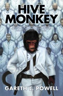 Hive Monkey Read online