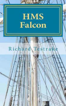 HMS Falcon: A Charles Mullins novel, Sea Command 7 Read online
