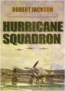 Hurricane Squadron Read online