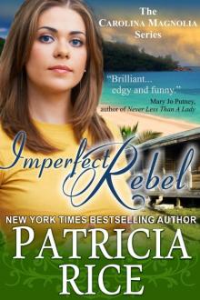 Imperfect Rebel Read online