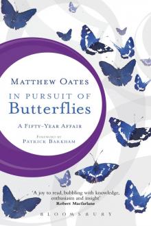 In Pursuit of Butterflies Read online