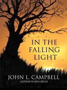 In The Falling Light Read online