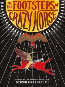 In the Footsteps of Crazy Horse Read online