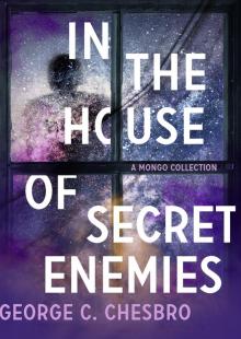 In the House of Secret Enemies Read online
