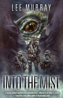 Into the Mist Read online