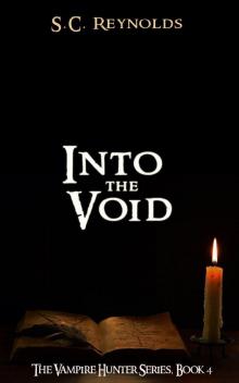 Into The Void (Vampire Hunter Book 4) Read online