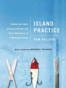 Island Practice Read online