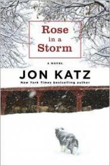 Jon Katz Read online