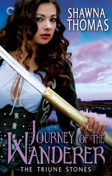 Journey of the Wanderer Read online
