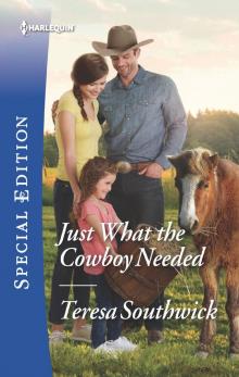 Just What the Cowboy Needed Read online