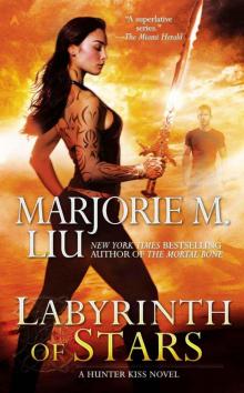 Labyrinth of Stars (A Hunter Kiss Novel) Read online