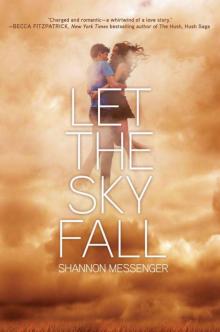 Let the Sky Fall Read online