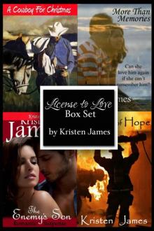 License to Love: Holiday Box Set (Contemporary Romance) Read online