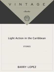 Light Action in the Caribbean Read online