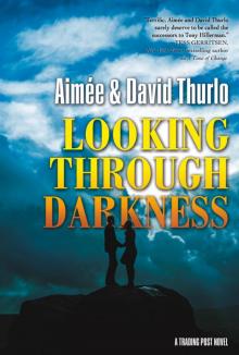 Looking Through Darkness Read online