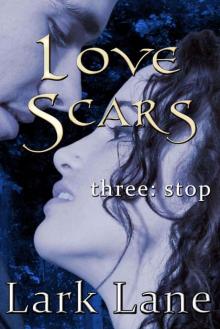 Love Scars - 3: Stop Read online