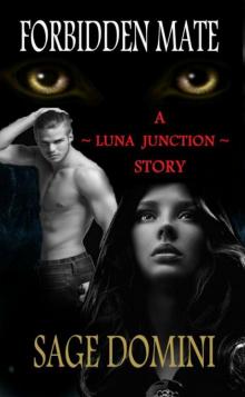 Luna Junction 2 Forbidden Mate (W) Read online