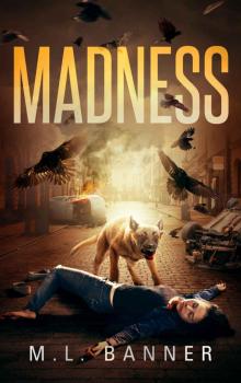 MADNESS (Madness Chronicles Book 1) Read online