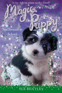 Magic Puppy: Spellbound at School Read online
