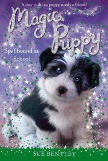 Magic Puppy: Spellbound at School