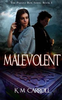 Malevolent (The Puzzle Box Series Book 1) Read online