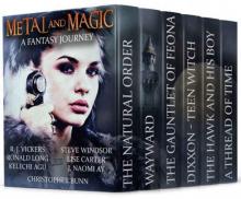 Metal and Magic: A Fantasy Journey Read online